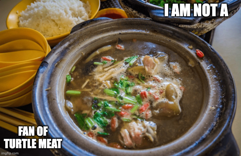 Turtle Soup | I AM NOT A; FAN OF TURTLE MEAT | image tagged in turtle,soup,food,memes | made w/ Imgflip meme maker