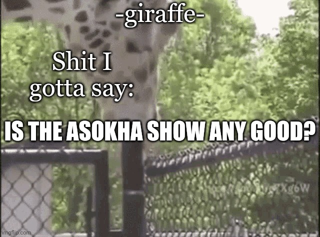 -giraffe- | IS THE ASOKHA SHOW ANY GOOD? | image tagged in -giraffe- | made w/ Imgflip meme maker