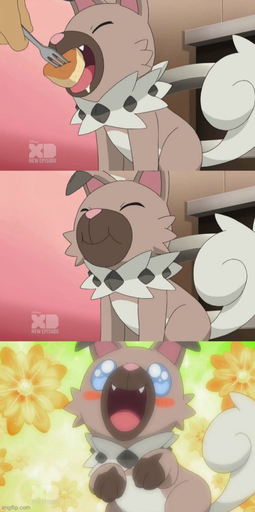 Rockruff eats cake | image tagged in rockruff eats cake,pokemon | made w/ Imgflip meme maker