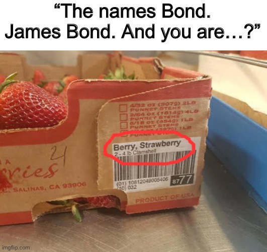 … | “The names Bond. James Bond. And you are…?” | made w/ Imgflip meme maker