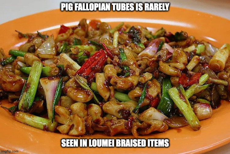 Stir-Fried Pig Fallopian Tubes | PIG FALLOPIAN TUBES IS RARELY; SEEN IN LOUMEI BRAISED ITEMS | image tagged in offal,food,memes | made w/ Imgflip meme maker