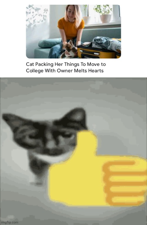 Moving to college | image tagged in cat thumbs up,college,cats,cat,memes,owner | made w/ Imgflip meme maker