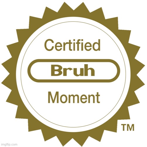 Certified bruh moment | image tagged in certified bruh moment | made w/ Imgflip meme maker