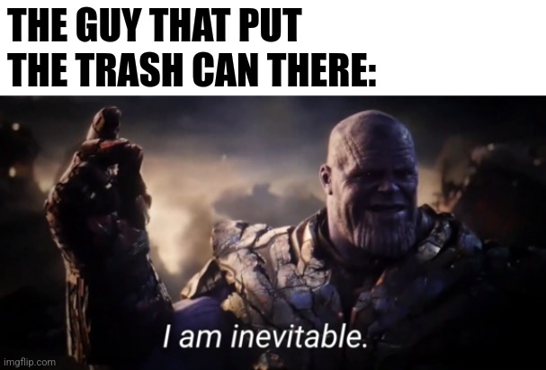 I am inevitable | THE GUY THAT PUT THE TRASH CAN THERE: | image tagged in i am inevitable | made w/ Imgflip meme maker