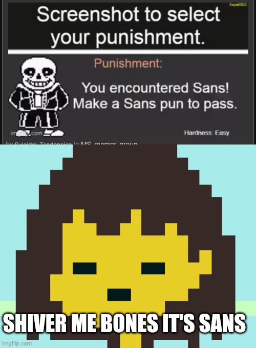 Did the thing | SHIVER ME BONES IT'S SANS | image tagged in frisk's face,sans | made w/ Imgflip meme maker