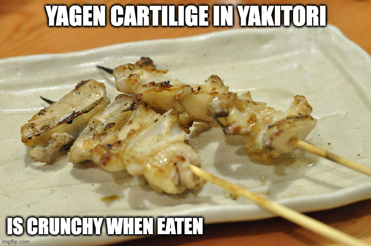 Yakitori Cartilige | YAGEN CARTILIGE IN YAKITORI; IS CRUNCHY WHEN EATEN | image tagged in food,memes | made w/ Imgflip meme maker