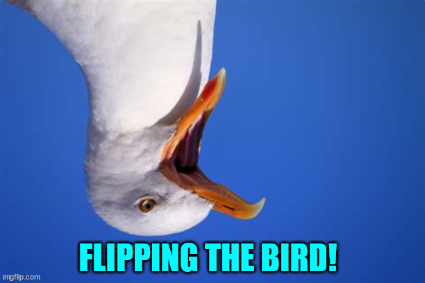 Communicating with memes can be fun... | FLIPPING THE BIRD! | image tagged in who_am_i,flipping the bird | made w/ Imgflip meme maker
