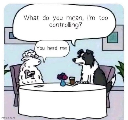 The Very First Pun | image tagged in dogs,shepherd,sheep,it's what's for dinner,relationships | made w/ Imgflip meme maker