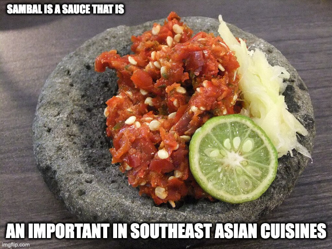 Sambal | SAMBAL IS A SAUCE THAT IS; AN IMPORTANT IN SOUTHEAST ASIAN CUISINES | image tagged in sauce,memes | made w/ Imgflip meme maker