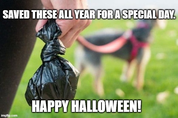 Halloween Funny | SAVED THESE ALL YEAR FOR A SPECIAL DAY. HAPPY HALLOWEEN! | image tagged in halloween,dog poop,beer | made w/ Imgflip meme maker