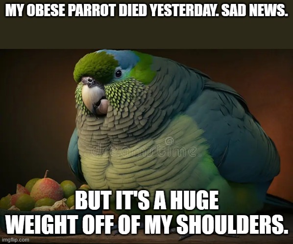 meme by Brad obese parrot | MY OBESE PARROT DIED YESTERDAY. SAD NEWS. BUT IT'S A HUGE WEIGHT OFF OF MY SHOULDERS. | image tagged in bird | made w/ Imgflip meme maker