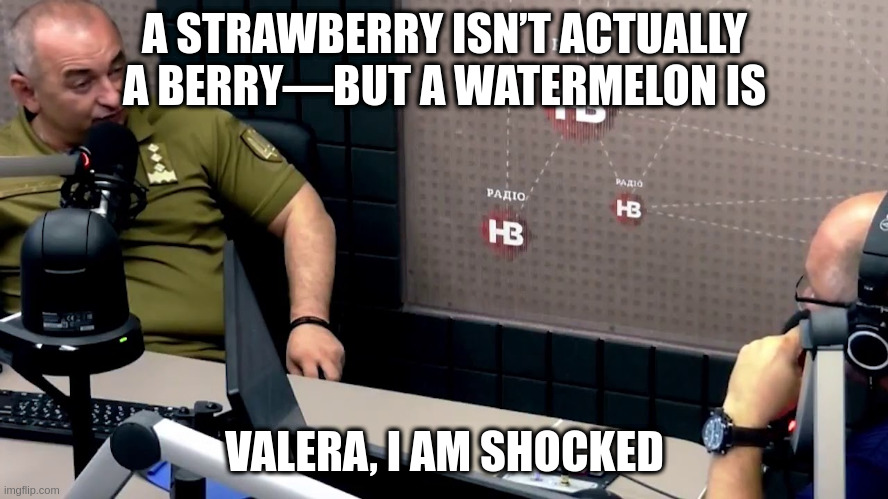 A strawberry isn’t actually a berry—but a watermelon is | A STRAWBERRY ISN’T ACTUALLY A BERRY—BUT A WATERMELON IS; VALERA, I AM SHOCKED | image tagged in valera i am shocked,strawberry,watermelon | made w/ Imgflip meme maker