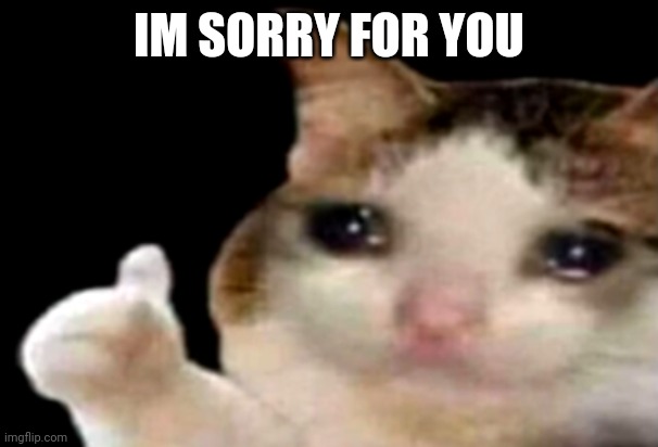 Sad cat thumbs up | IM SORRY FOR YOU | image tagged in sad cat thumbs up | made w/ Imgflip meme maker