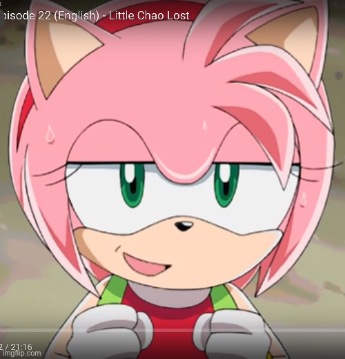 Amy Rose! | image tagged in amy rose | made w/ Imgflip meme maker