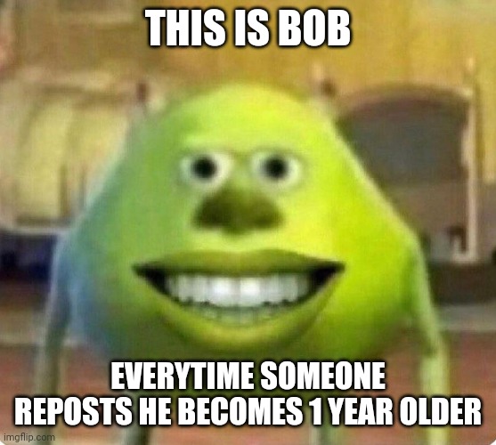 THIS IS BOB; EVERYTIME SOMEONE REPOSTS HE BECOMES 1 YEAR OLDER | made w/ Imgflip meme maker