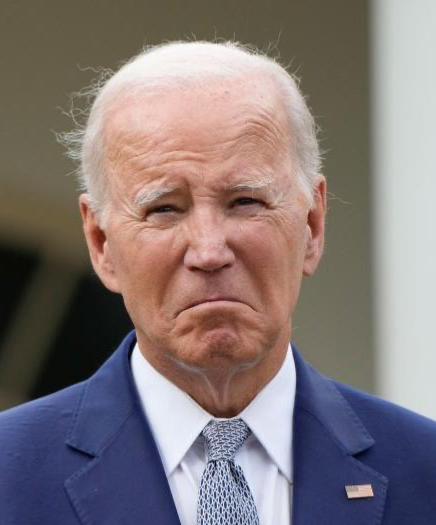 Sad Joe Biden Blank Meme Template