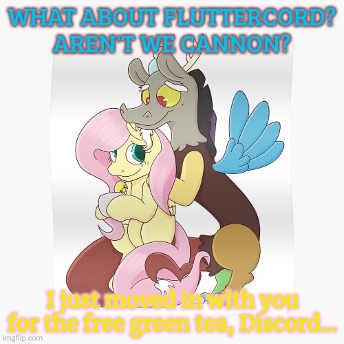 Fluttercord | WHAT ABOUT FLUTTERCORD? AREN'T WE CANNON? I just moved in with you for the free green tea, Discord... | image tagged in fluttershy,discord,love is in the air | made w/ Imgflip meme maker