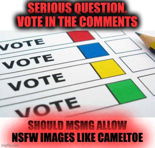 This MSmg poll is now closed.  For users that participated, thanks for your input. | SERIOUS QUESTION. VOTE IN THE COMMENTS; SHOULD MSMG ALLOW NSFW IMAGES LIKE CAMELTOE | image tagged in political poll,nsfw,no nudity | made w/ Imgflip meme maker