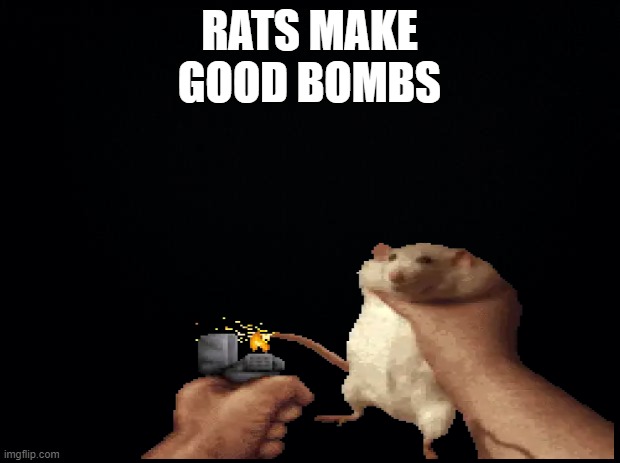 RATS MAKE GOOD BOMBS | made w/ Imgflip meme maker