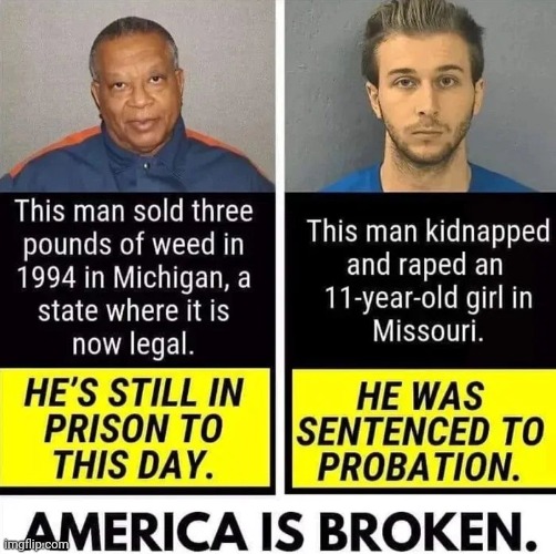 Liberal logic is an oxymoron | image tagged in liberal hypocrisy,stop making sense,police lives matter,party of hate,criminals,well yes but actually no | made w/ Imgflip meme maker