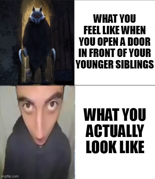WHAT YOU FEEL LIKE WHEN YOU OPEN A DOOR IN FRONT OF YOUR YOUNGER SIBLINGS; WHAT YOU ACTUALLY LOOK LIKE | image tagged in memes,funny,best memes,imgflip trends,open door,sibling rivalry | made w/ Imgflip meme maker