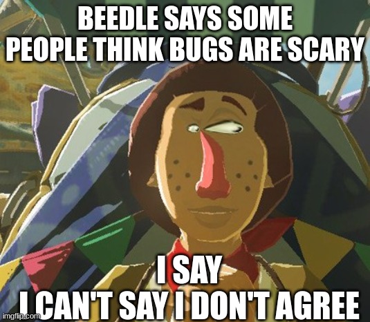beedle says bs | BEEDLE SAYS SOME PEOPLE THINK BUGS ARE SCARY; I SAY
I CAN'T SAY I DON'T AGREE | image tagged in totk,tears of the kingdom,legend of zelda | made w/ Imgflip meme maker
