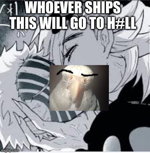 NSFW!!!!!!!!!!! (yes, I ship this) | WHOEVER SHIPS THIS WILL GO TO H#LL | image tagged in nsfw,demon slayer | made w/ Imgflip meme maker
