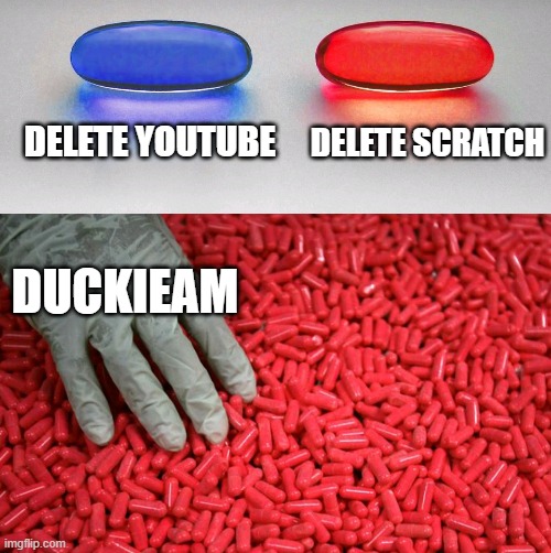 Blue or red pill | DELETE YOUTUBE; DELETE SCRATCH; DUCKIEAM | image tagged in blue or red pill | made w/ Imgflip meme maker