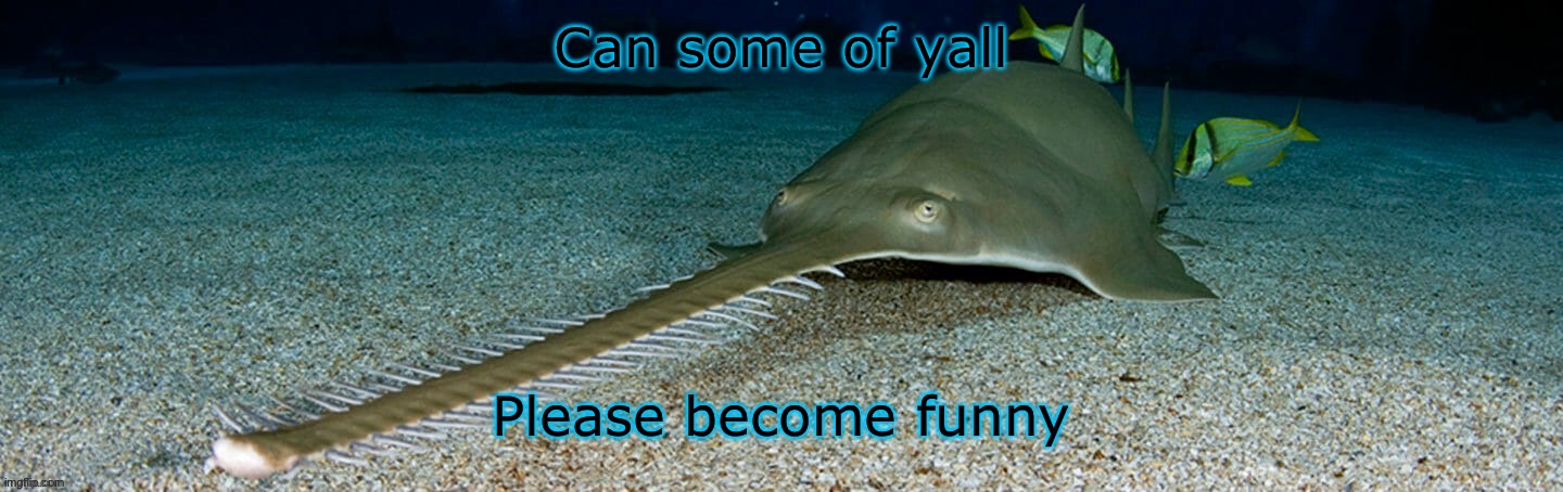 Cool sawfish | Can some of yall; Please become funny | image tagged in cool sawfish | made w/ Imgflip meme maker
