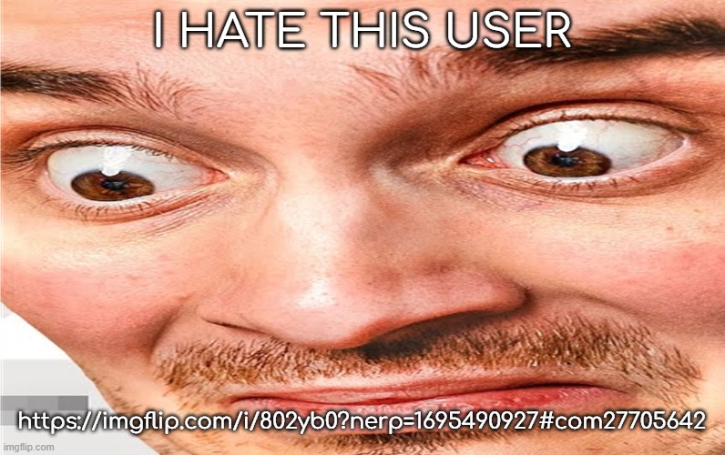 what the fuck am i seeing | I HATE THIS USER; https://imgflip.com/i/802yb0?nerp=1695490927#com27705642 | image tagged in what the fuck am i seeing | made w/ Imgflip meme maker