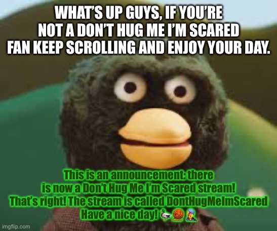 Don’t Hug Me I’m Scared stream :DD | WHAT’S UP GUYS, IF YOU’RE NOT A DON’T HUG ME I’M SCARED FAN KEEP SCROLLING AND ENJOY YOUR DAY. This is an announcement: there is now a Don’t Hug Me I’m Scared stream! That’s right! The stream is called DontHugMeImScared
Have a nice day! 🦆🧶👨‍🎤 | image tagged in dhmis,duck dhmis,red guy dhmis,yellow guy dhmis,donthugmeimscared | made w/ Imgflip meme maker