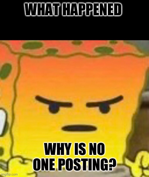 Why | WHAT HAPPENED; WHY IS NO ONE POSTING? | image tagged in mad spongebob | made w/ Imgflip meme maker