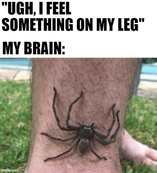 Creepy Crawly | "UGH, I FEEL SOMETHING ON MY LEG"; MY BRAIN: | image tagged in meme,brain | made w/ Imgflip meme maker