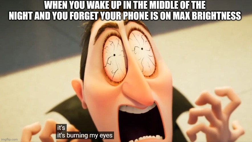 I'm sure people had that problem before. | WHEN YOU WAKE UP IN THE MIDDLE OF THE NIGHT AND YOU FORGET YOUR PHONE IS ON MAX BRIGHTNESS | image tagged in it's burning my eyes | made w/ Imgflip meme maker