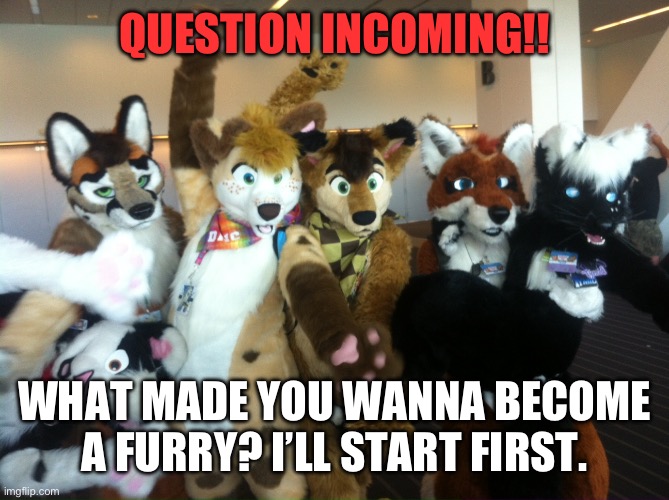 ? | QUESTION INCOMING!! WHAT MADE YOU WANNA BECOME A FURRY? I’LL START FIRST. | image tagged in furries | made w/ Imgflip meme maker