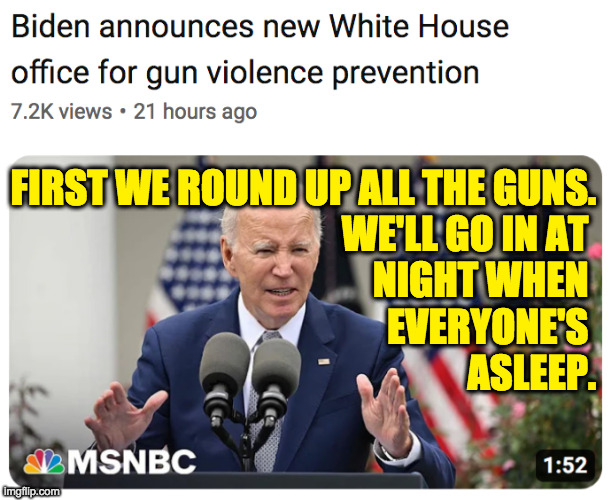 Or it could be a new mental health initiative.  Or we could just call it that. | FIRST WE ROUND UP ALL THE GUNS.
WE'LL GO IN AT 
NIGHT WHEN 
EVERYONE'S 
ASLEEP. | image tagged in memes,guns,mental health | made w/ Imgflip meme maker