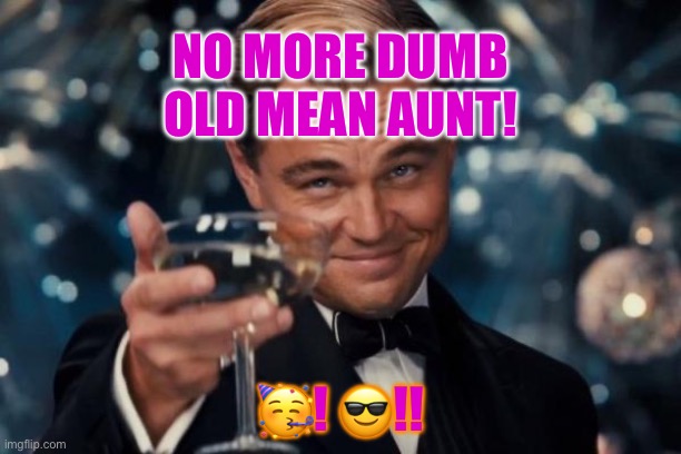 Leonardo Dicaprio Cheers | NO MORE DUMB OLD MEAN AUNT! 🥳! 😎!! | image tagged in memes,leonardo dicaprio cheers | made w/ Imgflip meme maker