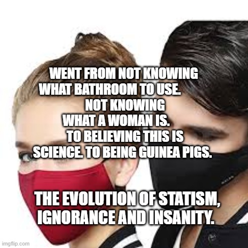 Mask Couple | WENT FROM NOT KNOWING WHAT BATHROOM TO USE.           
 NOT KNOWING WHAT A WOMAN IS.        TO BELIEVING THIS IS SCIENCE. TO BEING GUINEA PIGS. THE EVOLUTION OF STATISM, IGNORANCE AND INSANITY. | image tagged in mask couple | made w/ Imgflip meme maker