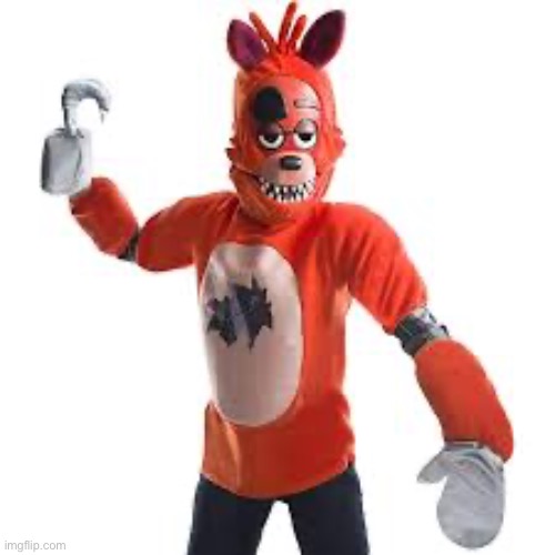 Foxy costume | image tagged in fnaf | made w/ Imgflip meme maker