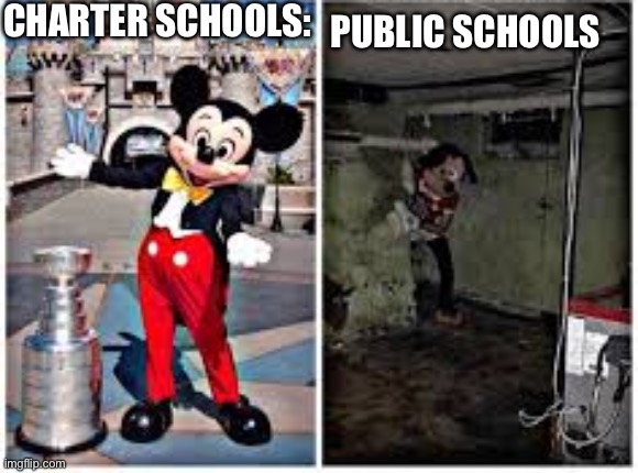 mickey mouse in disneyland | CHARTER SCHOOLS:; PUBLIC SCHOOLS | image tagged in mickey mouse in disneyland | made w/ Imgflip meme maker