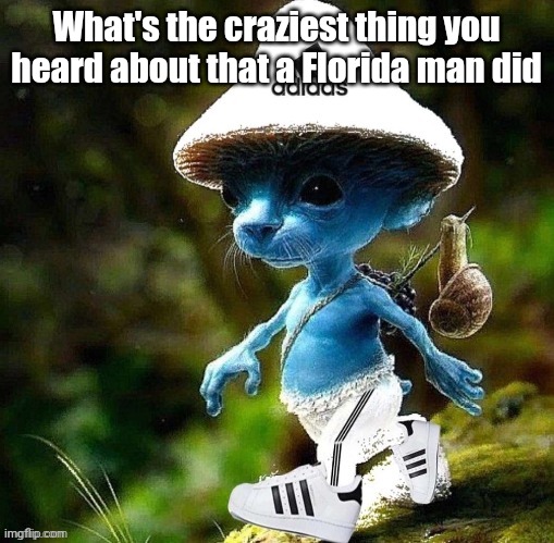 Smurf cat drip | What's the craziest thing you heard about that a Florida man did | image tagged in smurf cat drip | made w/ Imgflip meme maker