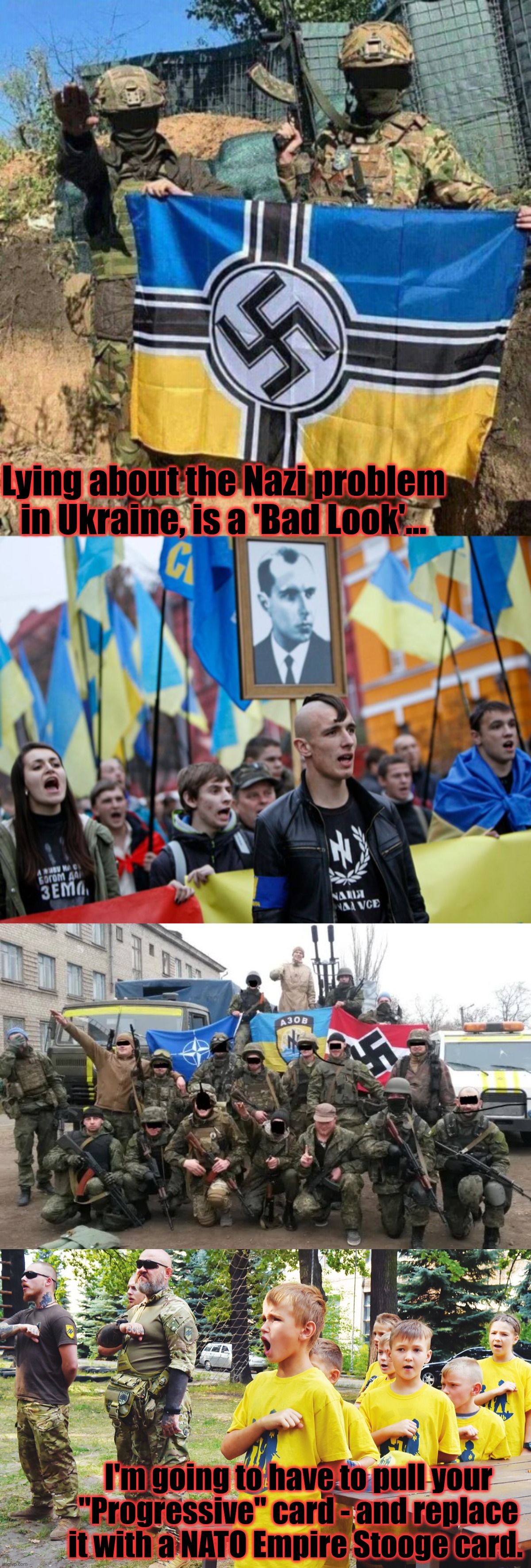 Lying about the Nazi problem in Ukraine, is a 'Bad Look'... I'm going to have to pull your "Progressive" card - and replace it with a NATO Empire Stooge card. | image tagged in azov battalion neonazi bad guys with flag | made w/ Imgflip meme maker