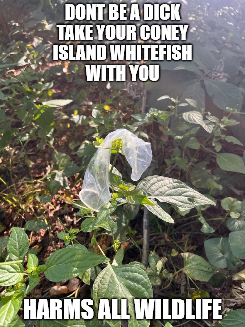 River Pollution | DONT BE A DICK
TAKE YOUR CONEY
ISLAND WHITEFISH
WITH YOU; HARMS ALL WILDLIFE | image tagged in dont be a dick | made w/ Imgflip meme maker