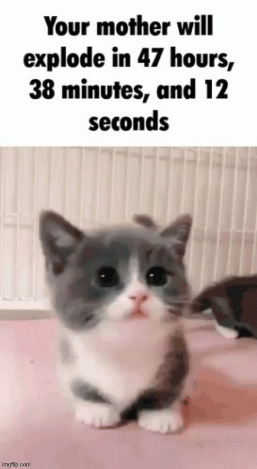 image tagged in repost | made w/ Imgflip meme maker
