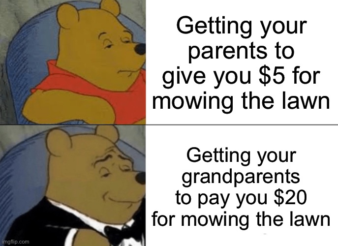 Ahh yes money | Getting your parents to give you $5 for mowing the lawn; Getting your grandparents to pay you $20 for mowing the lawn | image tagged in memes,tuxedo winnie the pooh | made w/ Imgflip meme maker