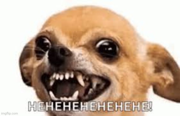 Hehehehehehe! | image tagged in hehehehehehe | made w/ Imgflip meme maker