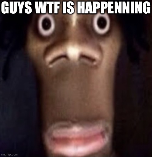 There's so many people violating the rules today | GUYS WTF IS HAPPENNING | image tagged in quandale dingle | made w/ Imgflip meme maker