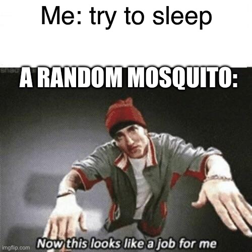 Now this looks like a job for me | Me: try to sleep; A RANDOM MOSQUITO: | image tagged in now this looks like a job for me | made w/ Imgflip meme maker