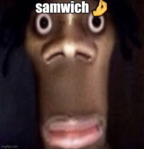 Quandale dingle | samwich 🤌 | image tagged in quandale dingle | made w/ Imgflip meme maker