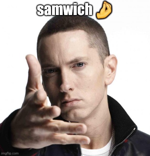 Eminem video game logic | samwich 🤌 | image tagged in eminem video game logic | made w/ Imgflip meme maker